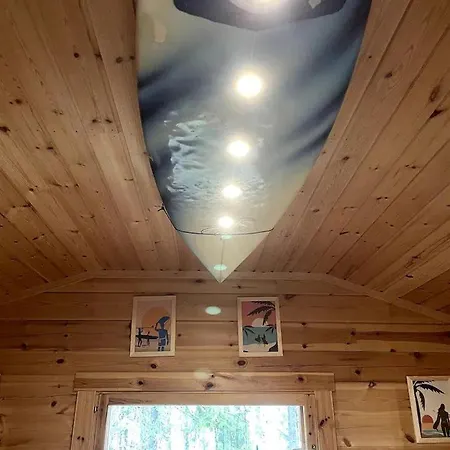 度假居 Off-grid Waterfront Ideal For Nature And Adventure Lovers In Finland Pohjaslahti